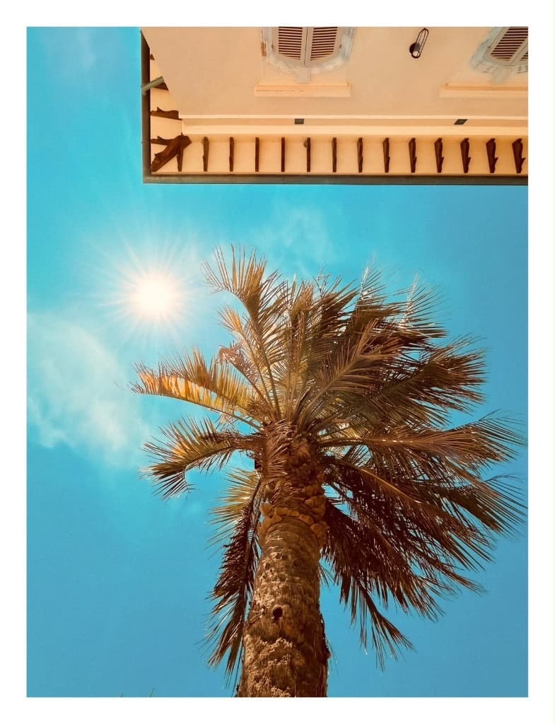 Fine art photograph of a palm tree and Mediterranean architecture with sunburst by Andrea Polmüller